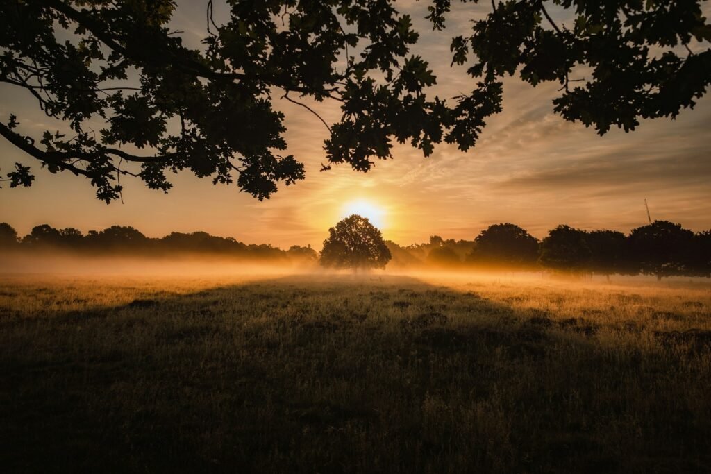 Spiritual Bypassing: What It Is and How to Avoid It